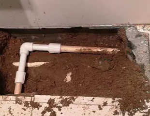 浦东测漏水哪家好