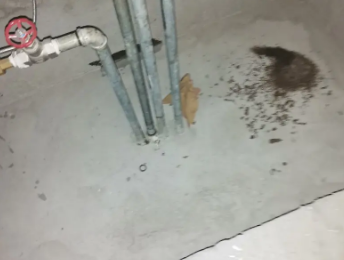 浦东卫生间测漏水价格明细